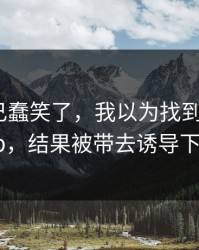 我被自己蠢笑了，我以为找到了开云app，结果被带去诱导下载