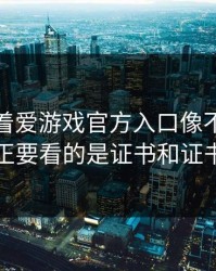 别只盯着爱游戏官方入口像不像，真正要看的是证书和证书