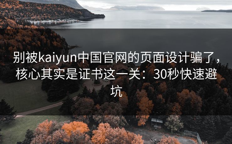 别被kaiyun中国官网的页面设计骗了，核心其实是证书这一关：30秒快速避坑